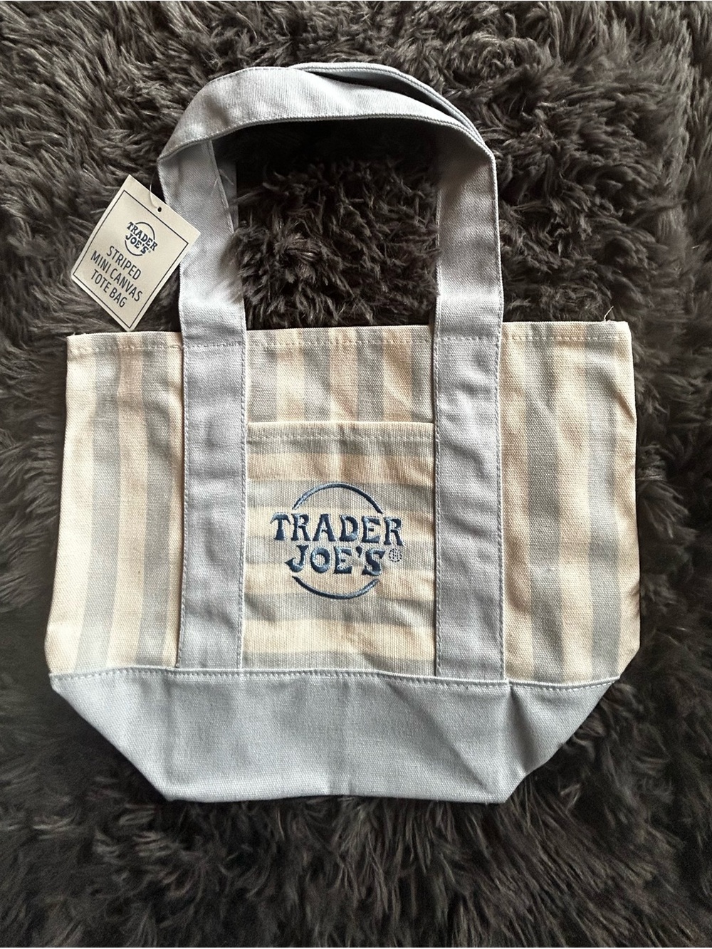 Trader Joe’s Striped Mini Canvas Tote Bag Light Blue/Cream Summer 2026 NWT
